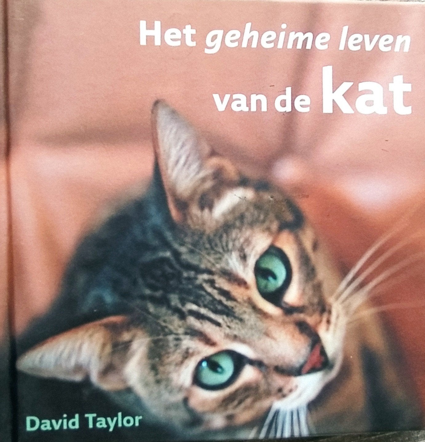 David Taylor - Het geheime leven van de kat, Ophalen of Verzenden, Zo goed als nieuw, Paarden of Pony's, David Taylor