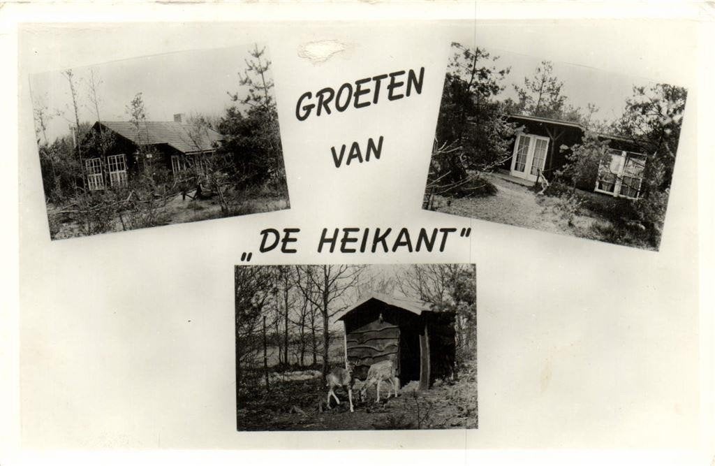 Groeten van De Heikant - Waalre [N-Br.] - 3 afb - 1963? gelo, Verzamelen, Ophalen of Verzenden, 1960 tot 1980, Gelopen, Noord-Brabant