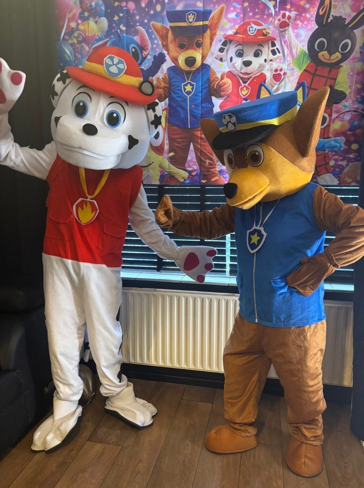 Chase en Marshall mascotte, Ophalen, Zo goed als nieuw, Verjaardag