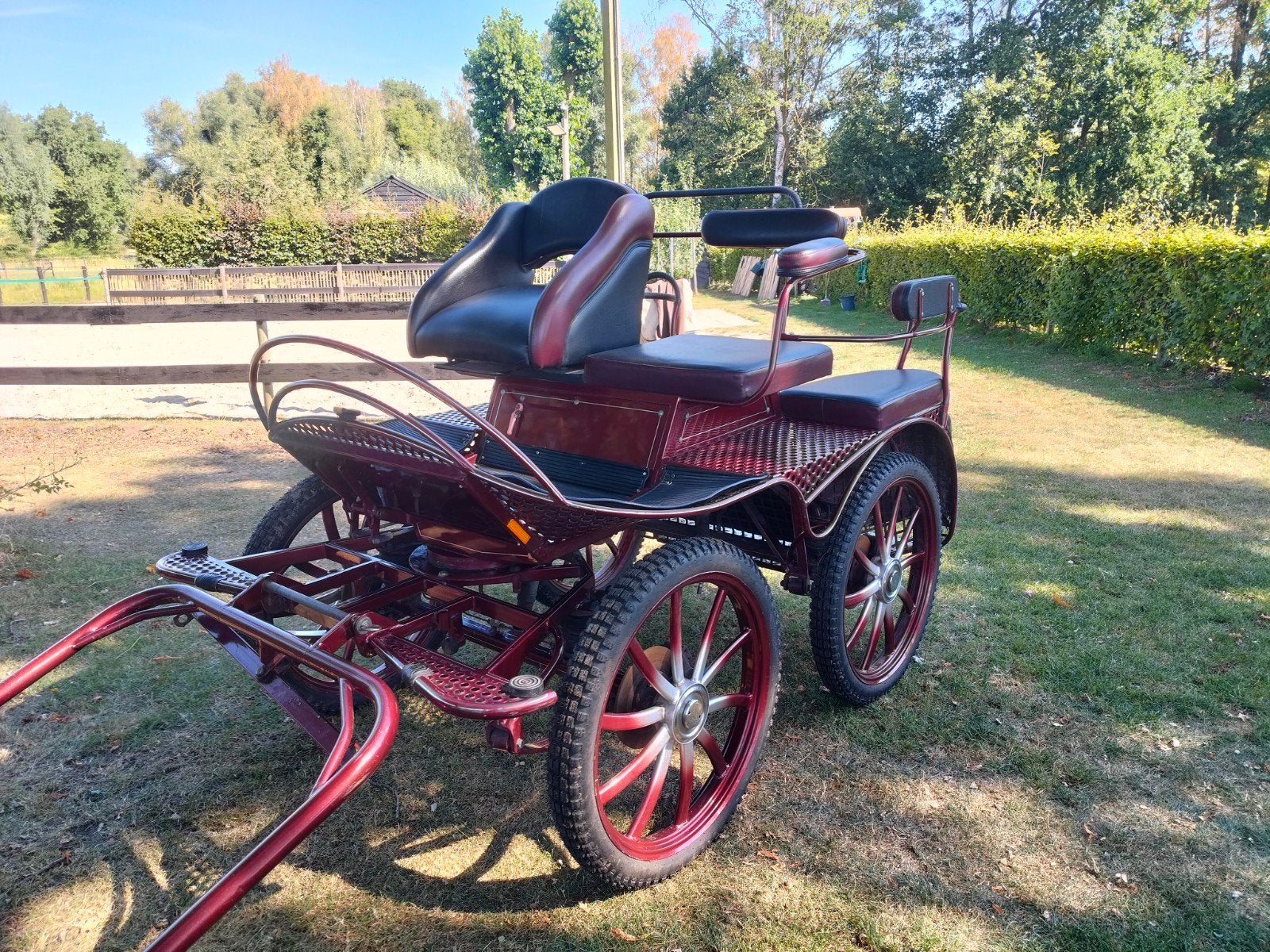 menwagen c,d,e pony, Zo goed als nieuw, Marathonwagen, Pony