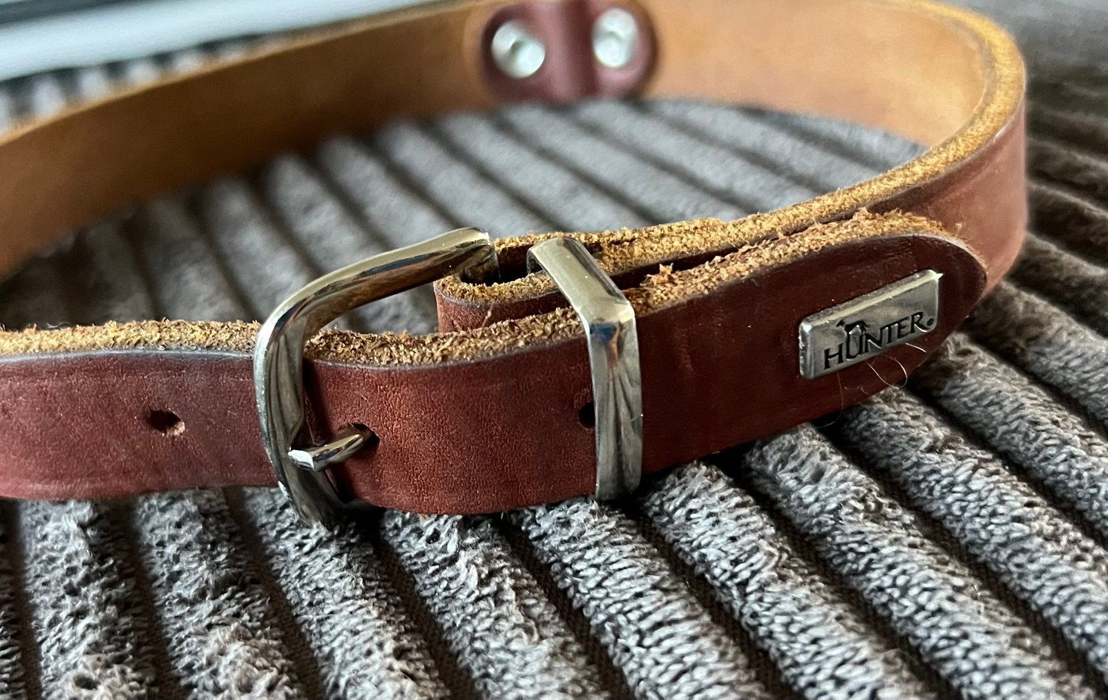 Hunter leren hondenhalsband, Dieren en Toebehoren, Ophalen of Verzenden, Zo goed als nieuw