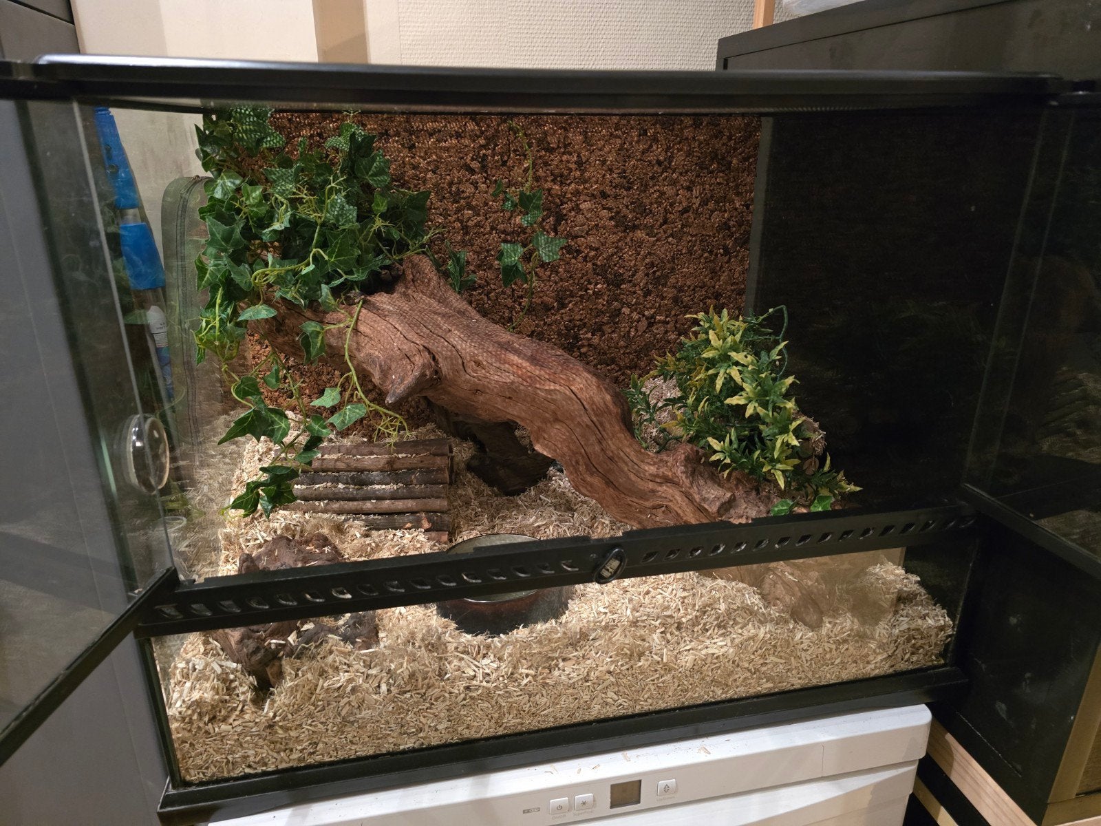 Haakneus Artic Anaconda evt met exoterra bak. Hognose Snake photo 4