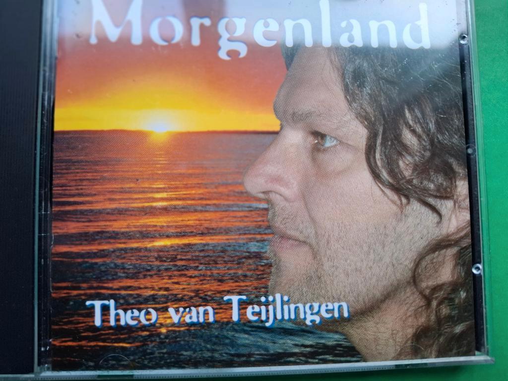 THEO VAN TEIJLINGEN - MORGENLAND, Ophalen of Verzenden, Zo goed als nieuw, Pop of Rock