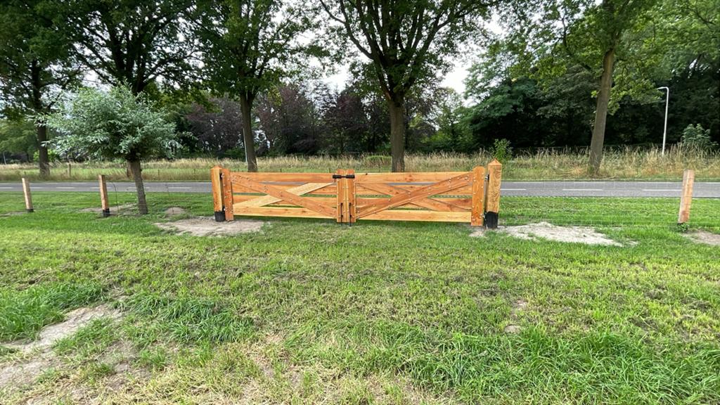 Douglas houten weidehek met poort