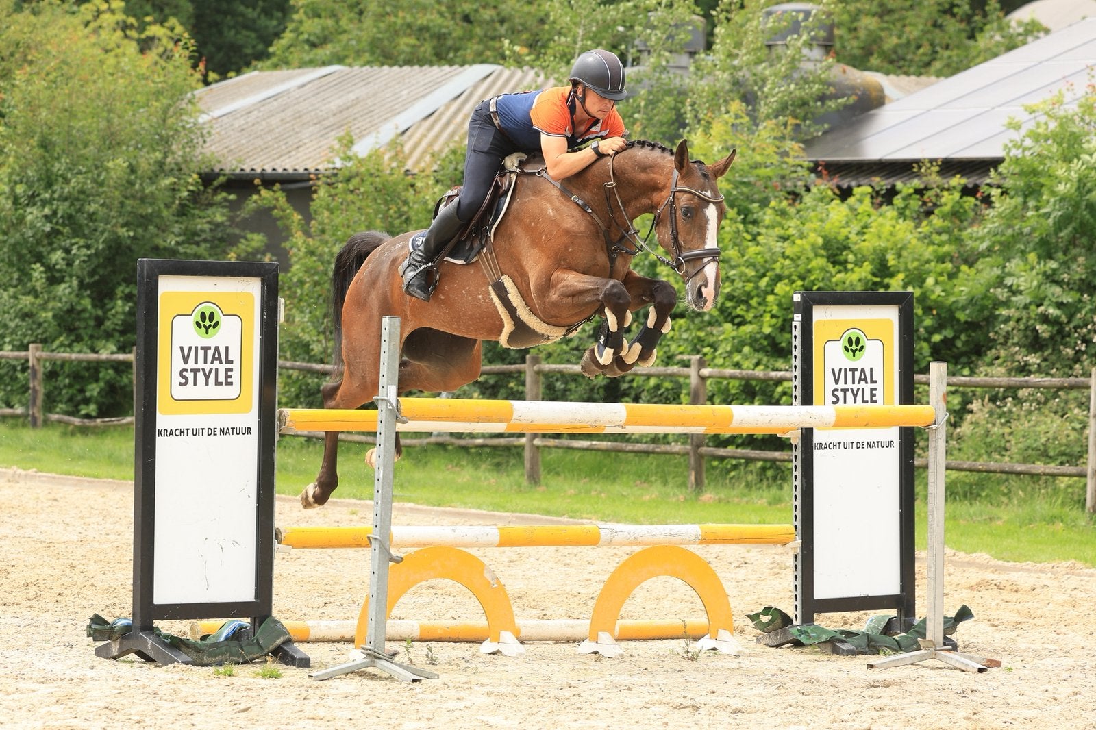 8 jarige vriendelijk voorwaartse stippel merrie, Dieren en Toebehoren, Paarden, Merrie, Springpaard, L, 7 tot 10 jaar