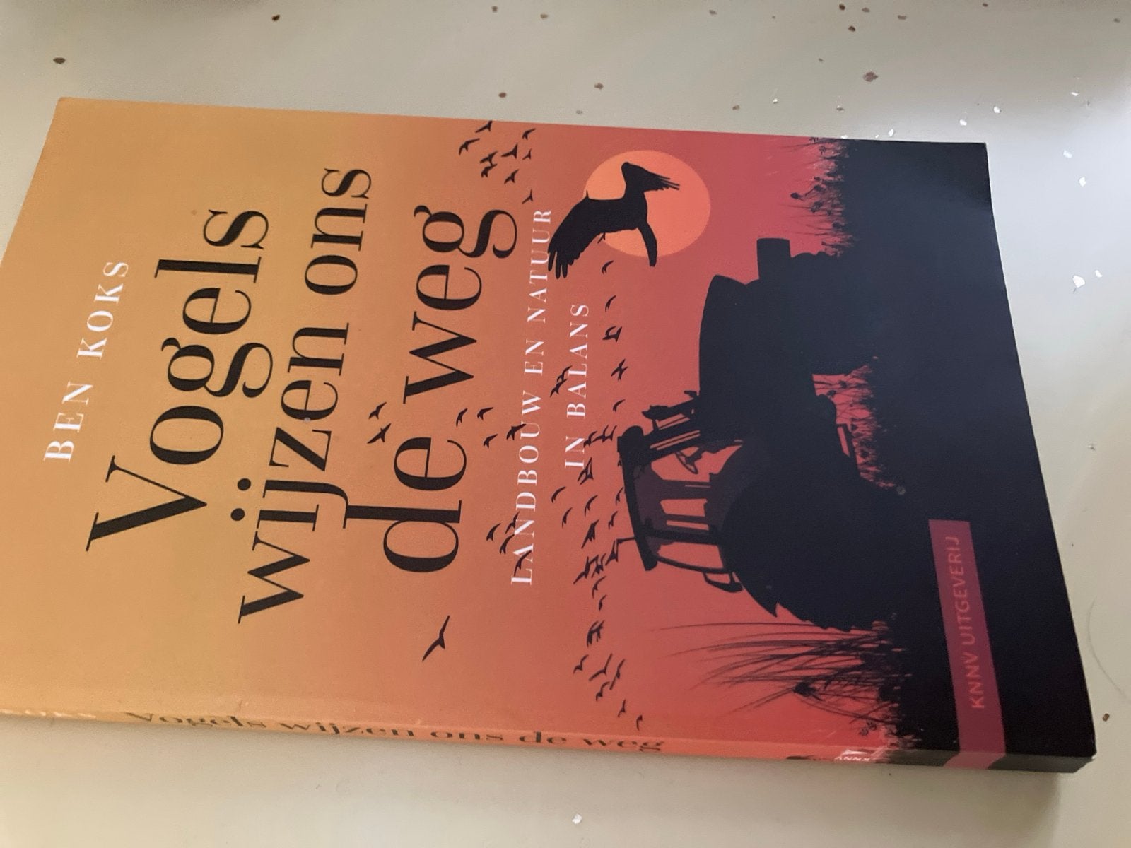 Vogels wijzen ons de weg - Ben Koks (Nieuw), Ophalen of Verzenden, Nieuw, Vogels