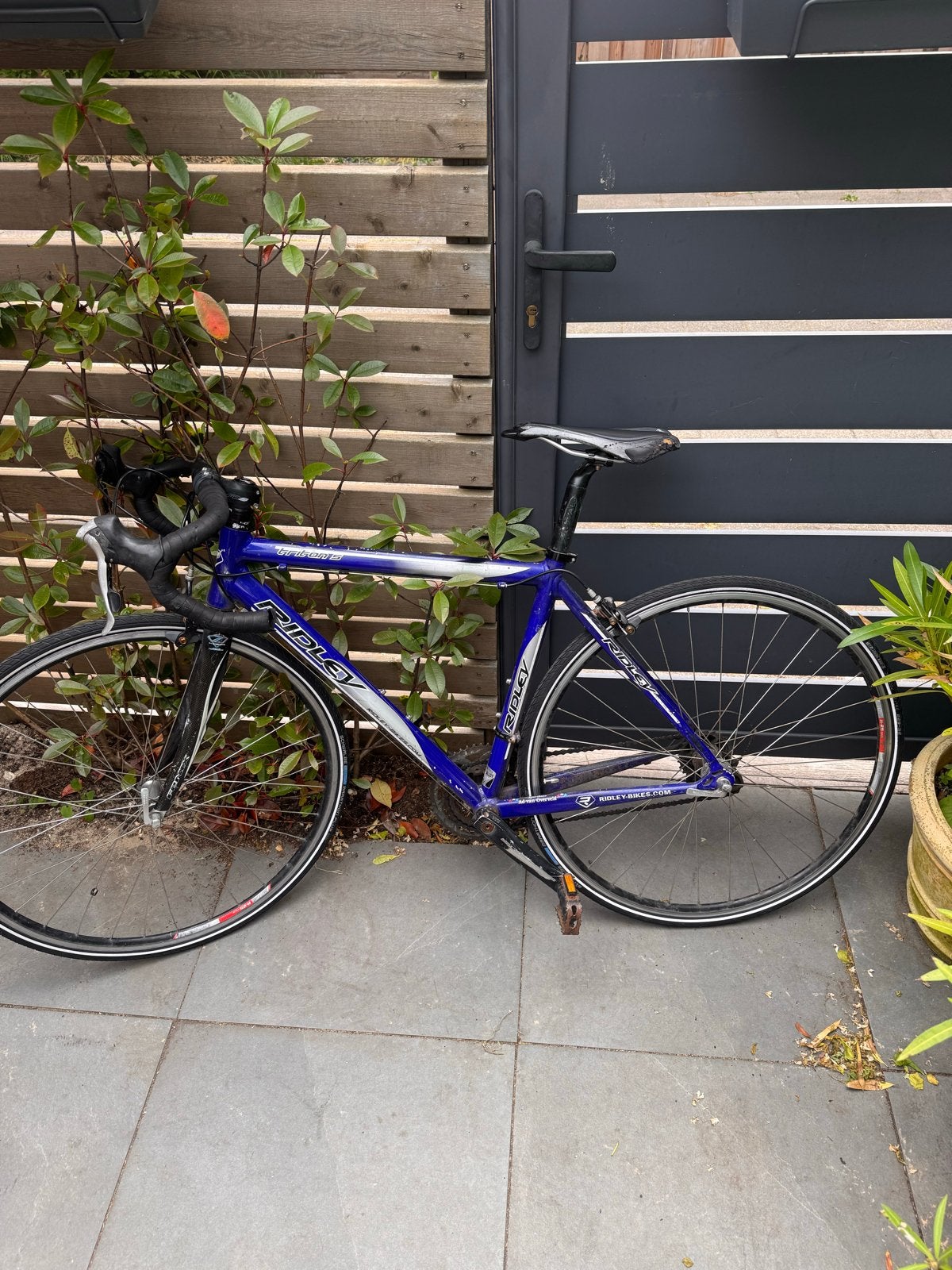 Ridley racefiets - Blauw/Zilver - Gebruikt, 28 inch, Gebruikt, Aluminium, Meer dan 20 versnellingen