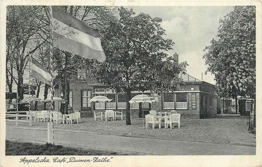 380-779-039 Appelscha Cafe Duinen-Zathe, Verzenden, Voor 1920, Friesland