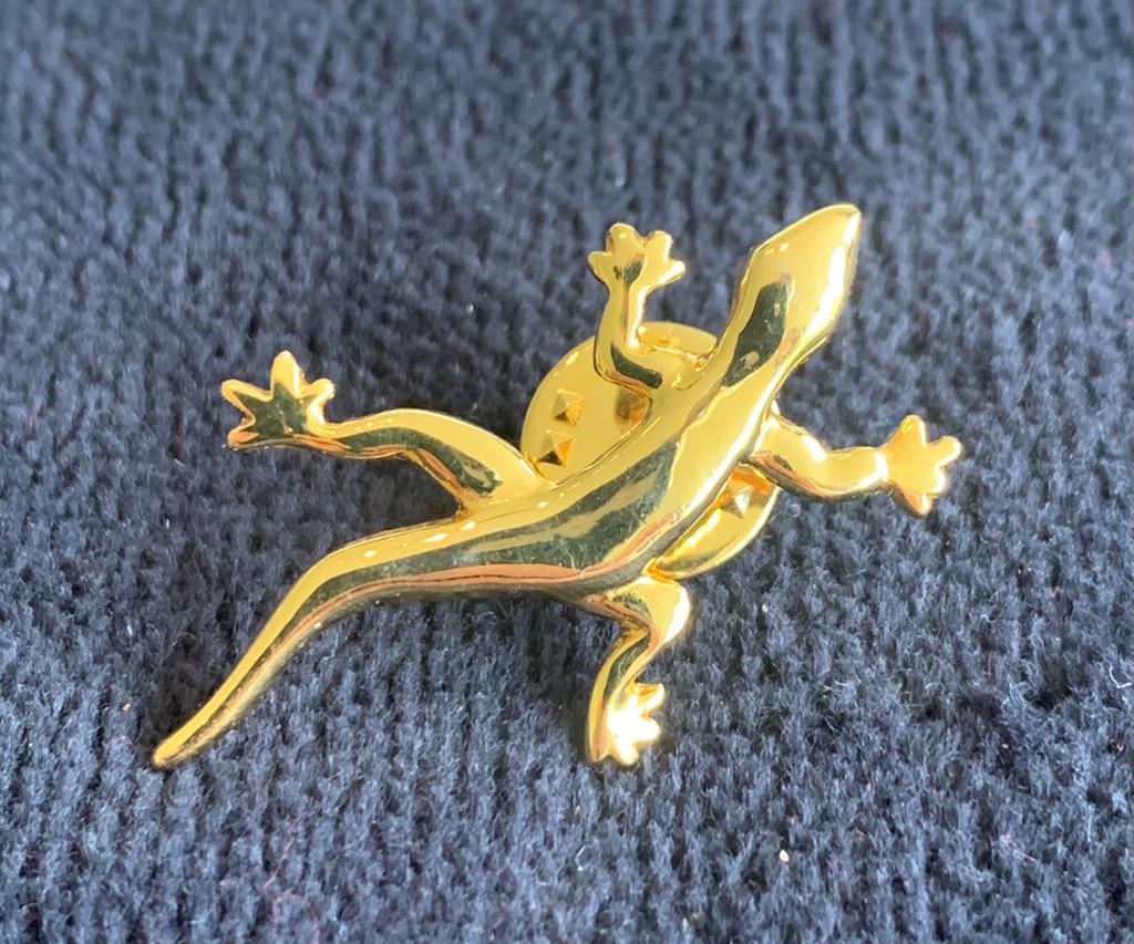 Vintage vergulde hagedis broche, Verzenden, Zo goed als nieuw, Goud, Overige materialen