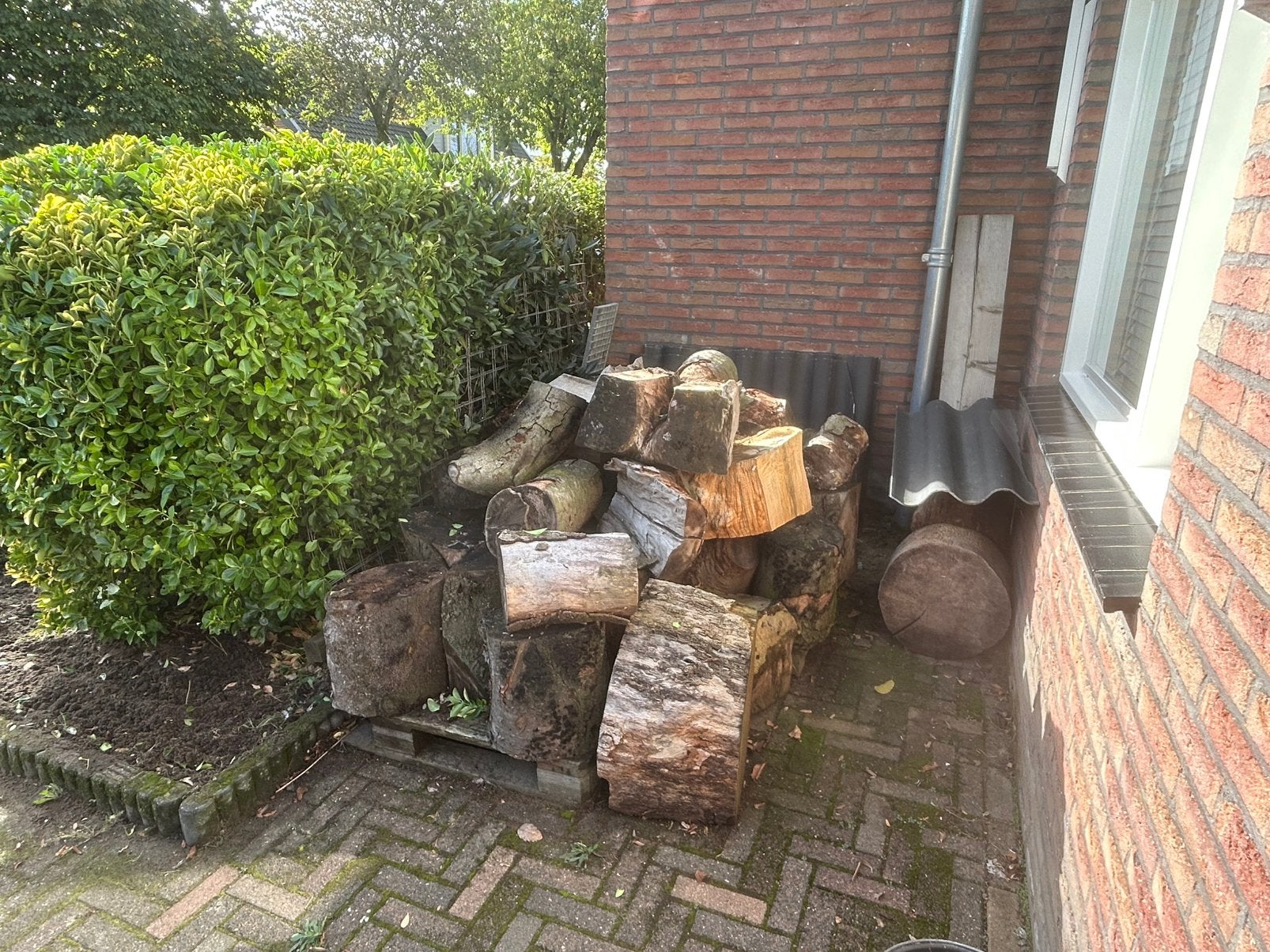 Haardhout beuken, ruime kuub, Minder dan 3 m³, Ophalen