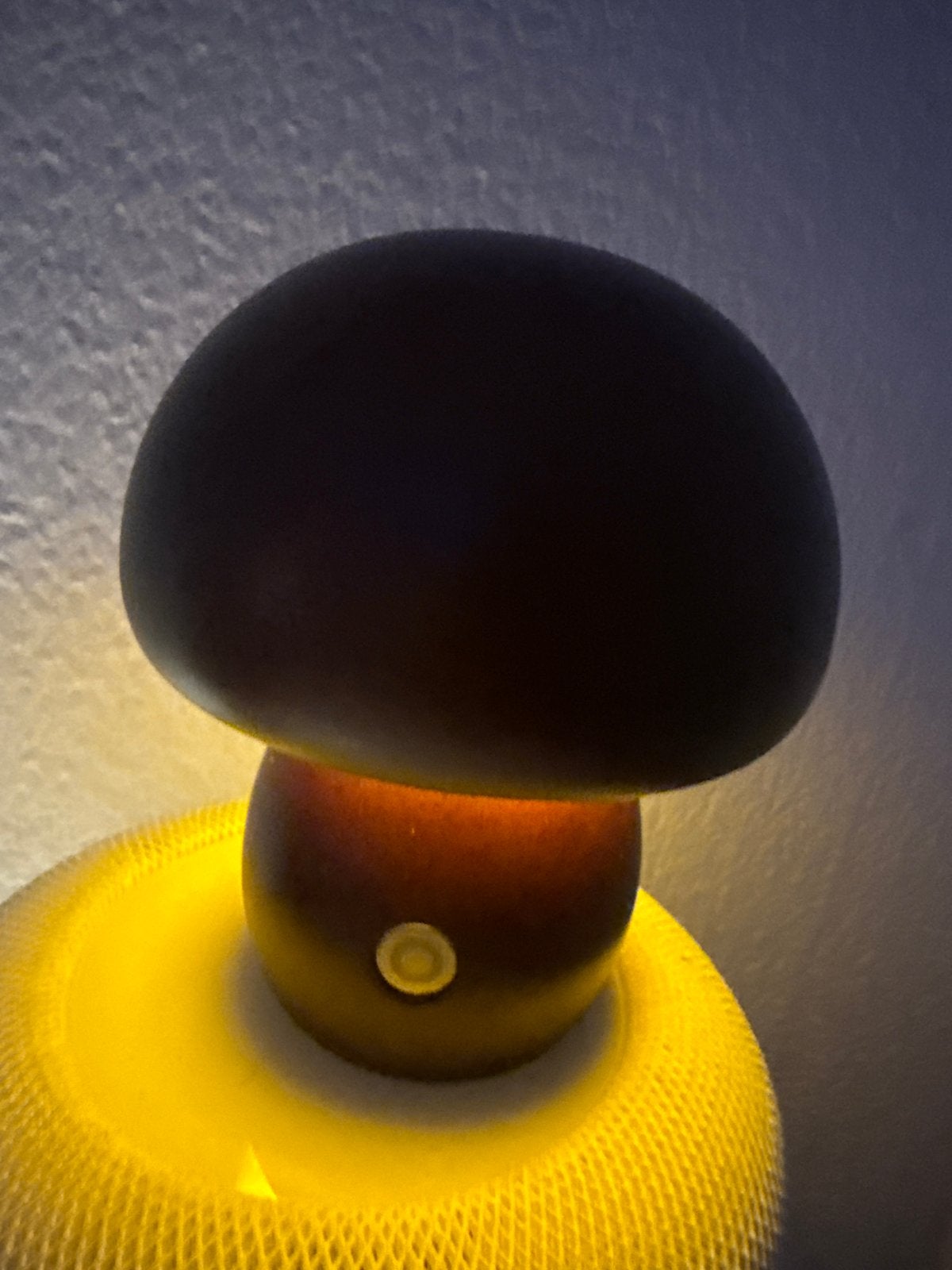 Leuke paddestoel lamp - sfeerlicht, Met schakelaar, Overige merken, Kunststof, Meerkleurig