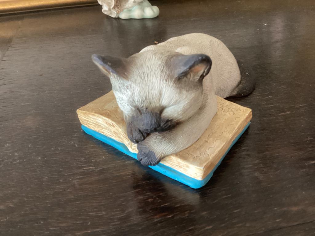 Poes slapend op boek // hoog 5.5 .. lengte 22 cm, Verzamelen, Beelden en Beeldjes, Ophalen of Verzenden, Dier