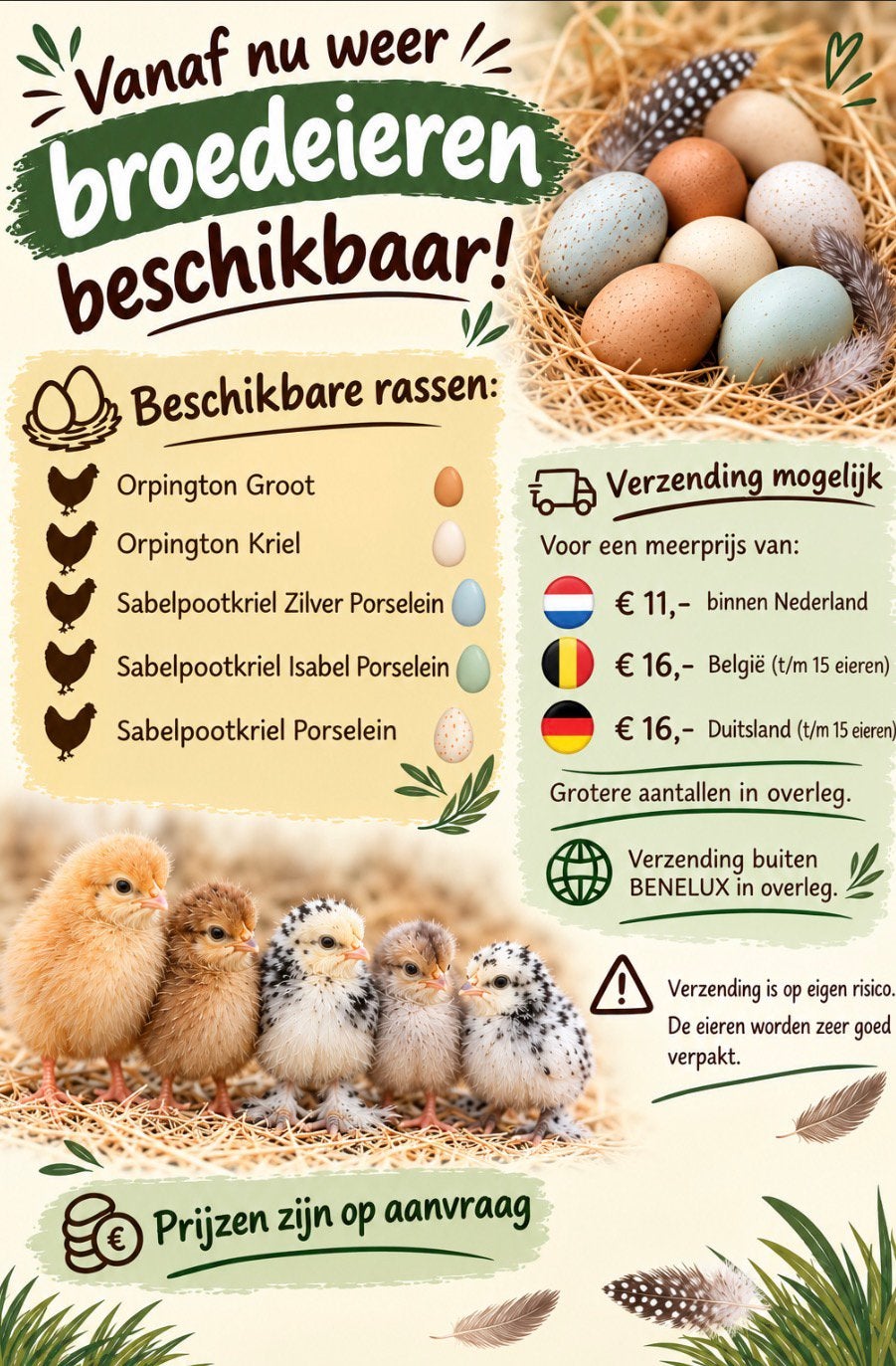 Broedeieren beschikbaar van verschillende rassen, Dieren en Toebehoren, Geslacht onbekend, Kip