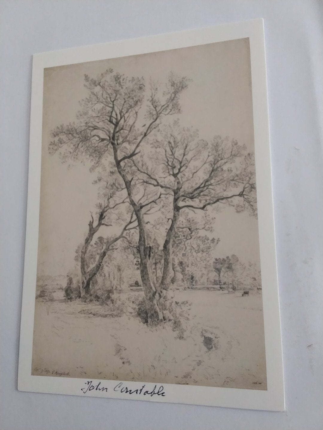 John Constable - Trees at East Bergholt, 1817 (Reproductie), Ophalen of Verzenden