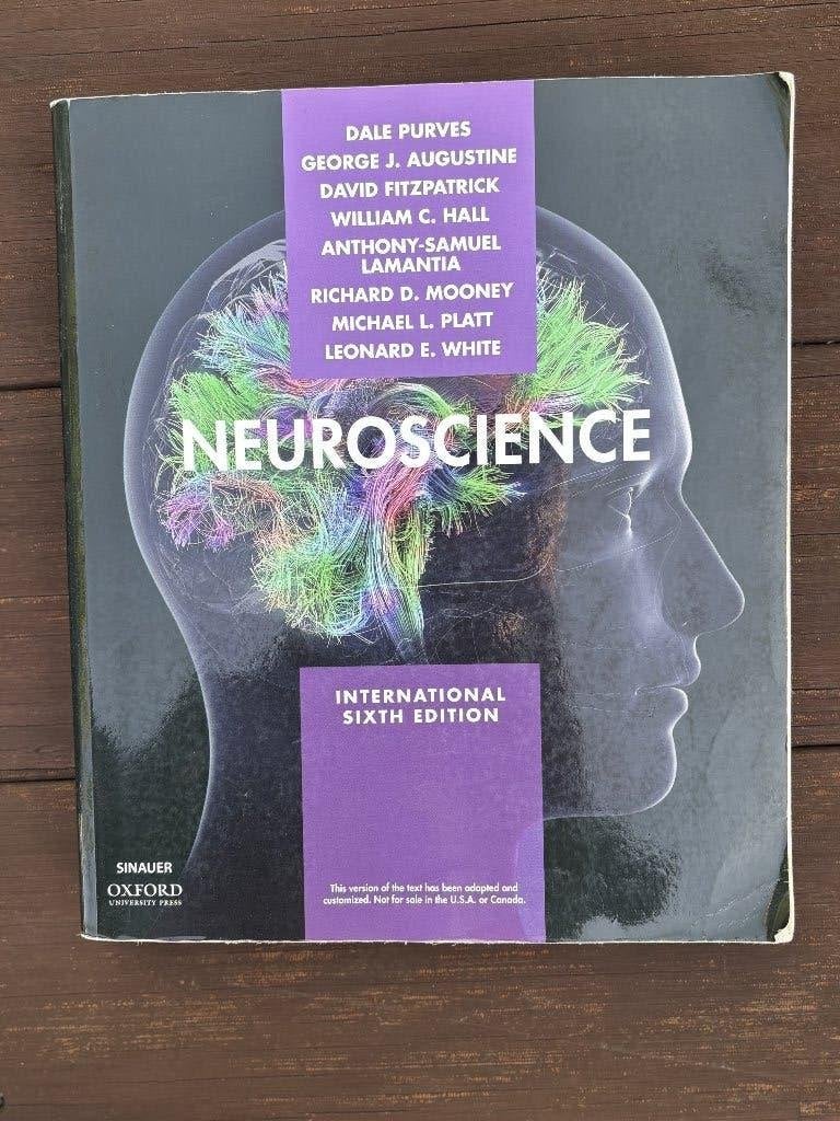 Neuroscience International Sixth Edition - Purves et al., Boeken, Diverse auteurs, WO, Beta, Ophalen