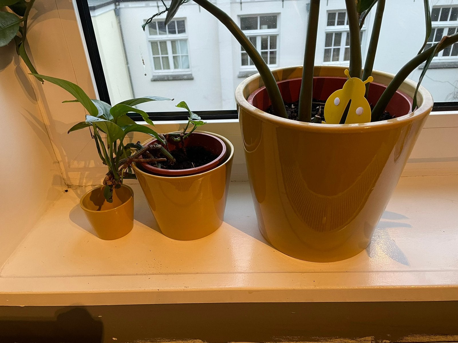 Set gele ceramische bloempotten Dille en Kamille, Tuin en Terras, Verzenden, Rond, Zo goed als nieuw, Binnen