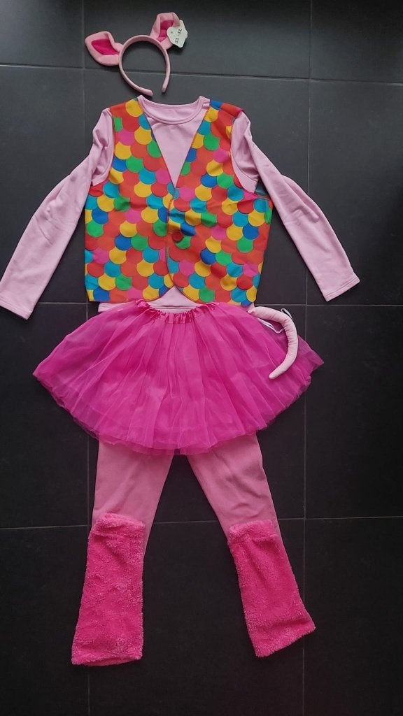 Biggencostuum, Carnaval, loopgroep, Carnaval, Maat 42/44 (L), Ophalen of Verzenden, Kleding