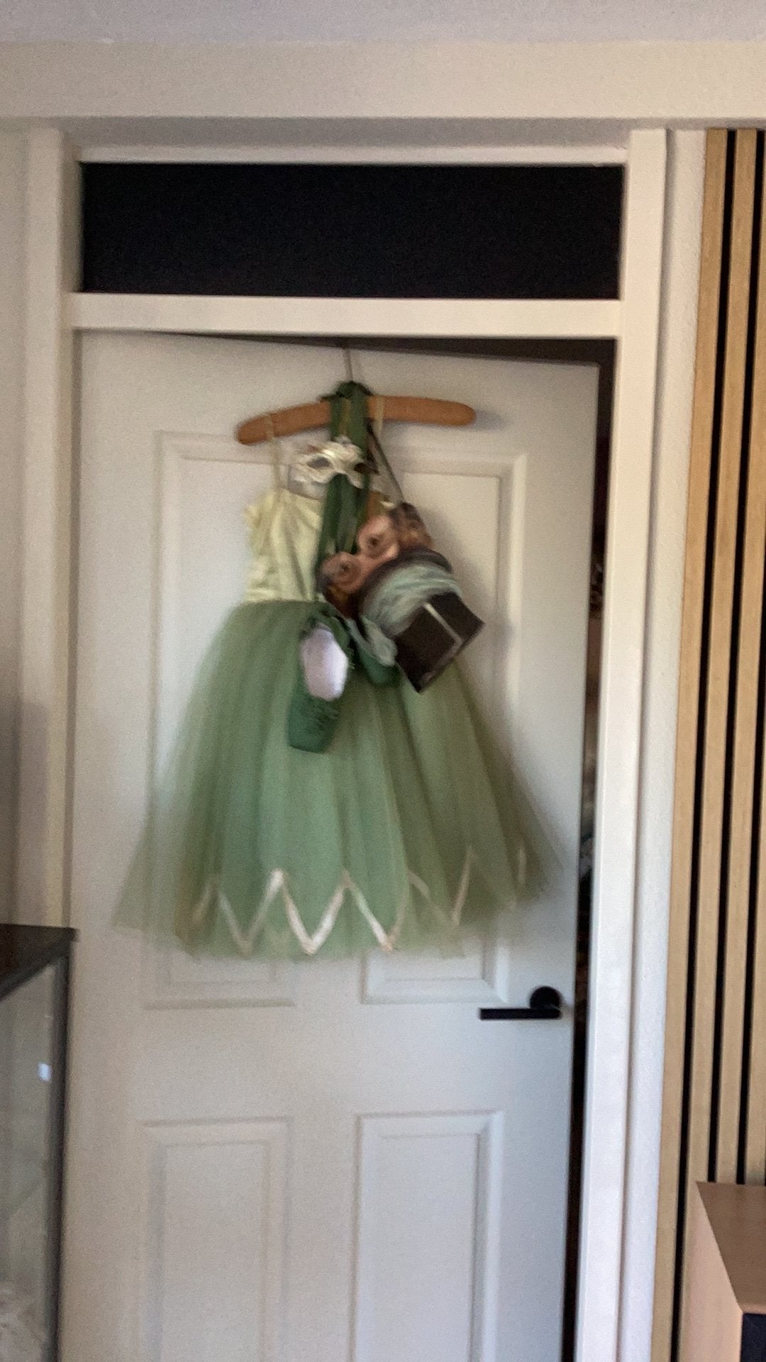 Ballet jurk met ballerina groen, Ophalen of Verzenden, Zo goed als nieuw, 200 tot 215 cm