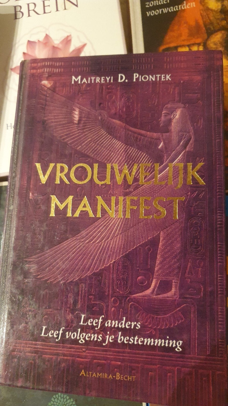 Vrouwelijk Manifest - Leef anders,leef volgens je bestemming, Gelezen, Achtergrond en Informatie, Spiritualiteit algemeen, Verzenden