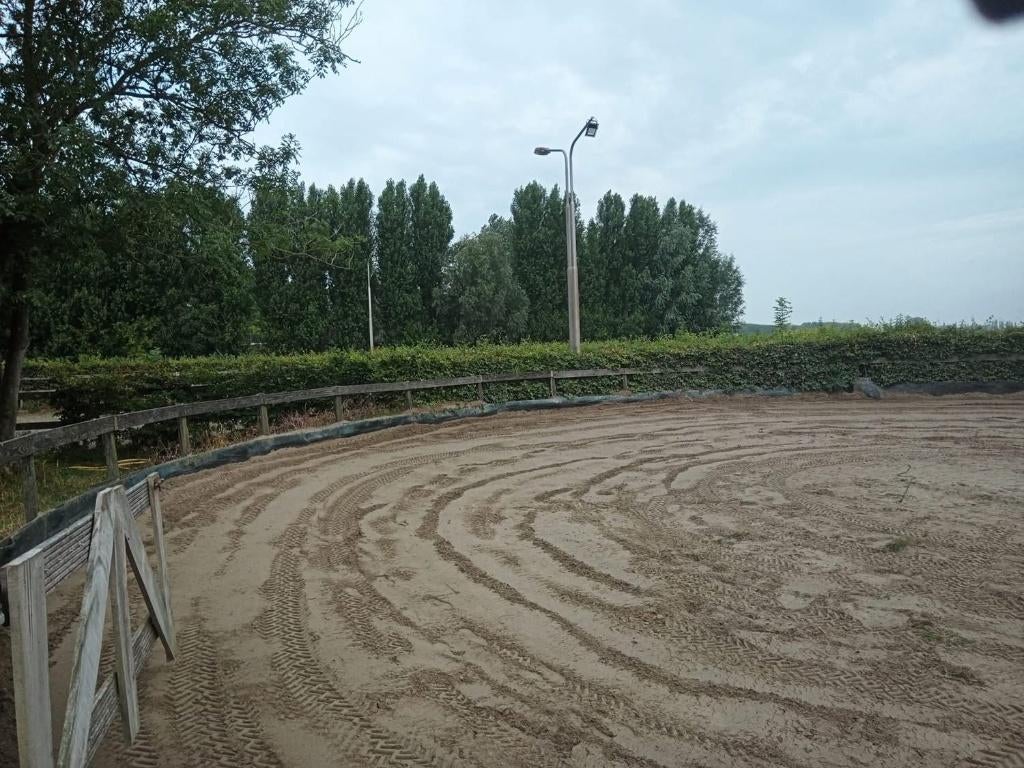 Trainingsplekken en pensionstalling beschikbaar, Dieren en Toebehoren, Stalling en Weidegang, Stalling