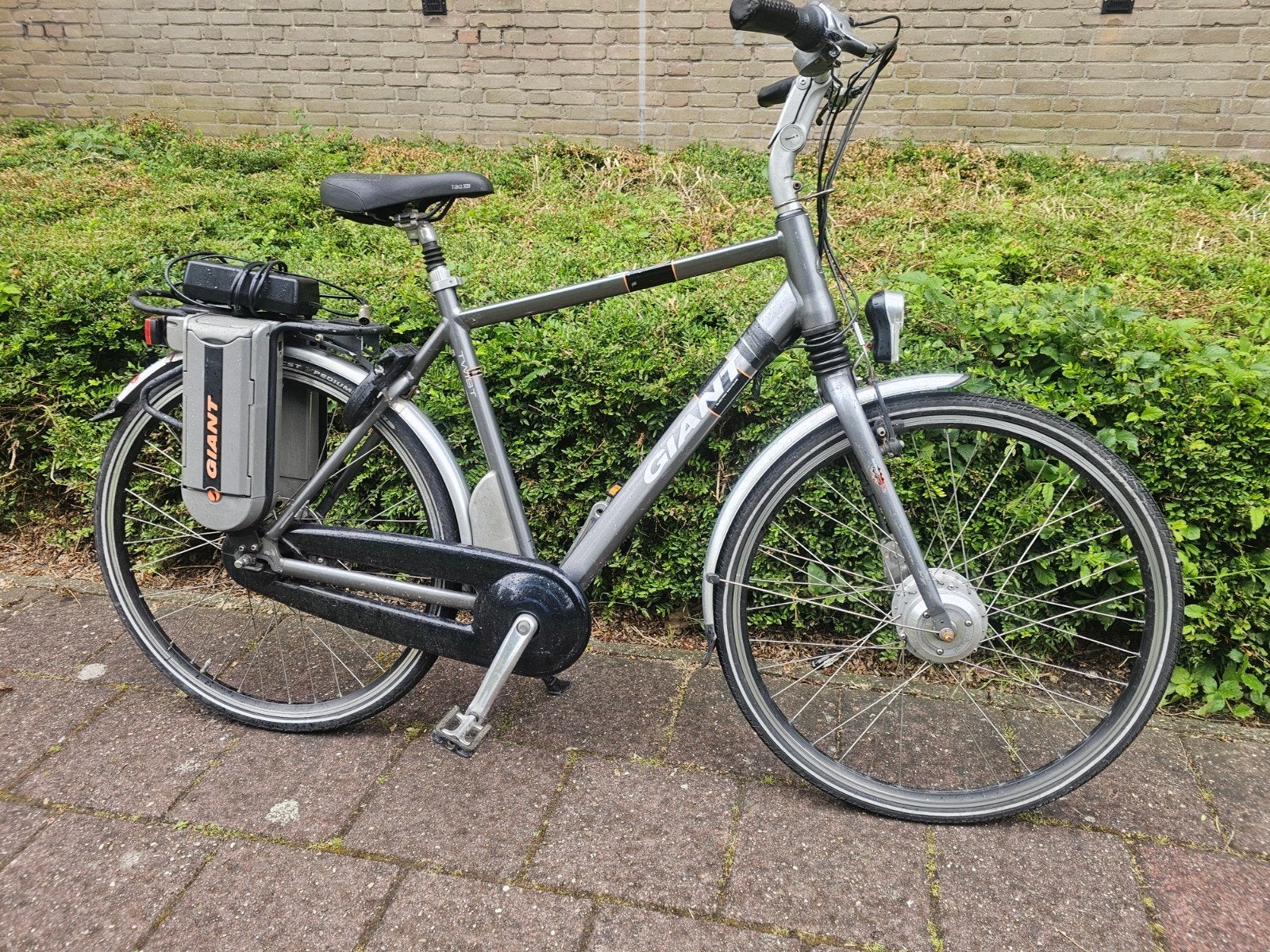 Giant Twist Double Electrische fiets, Ophalen, Gebruikt, Giant, 51 tot 55 cm