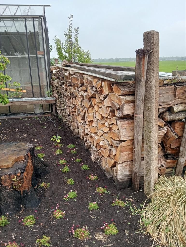 8 m³ gestapeld open haard hout, Tuin en Terras, 6 m³ of meer, Ophalen, Overige houtsoorten, Blokken
