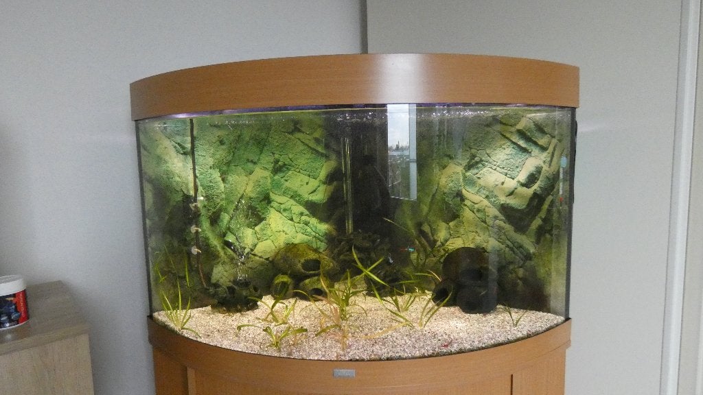 Juwel hoek aquarium trigion 190l, Dieren en Toebehoren, Vissen | Aquaria en Toebehoren, Ophalen, Gebruikt, Leeg aquarium, Juwel