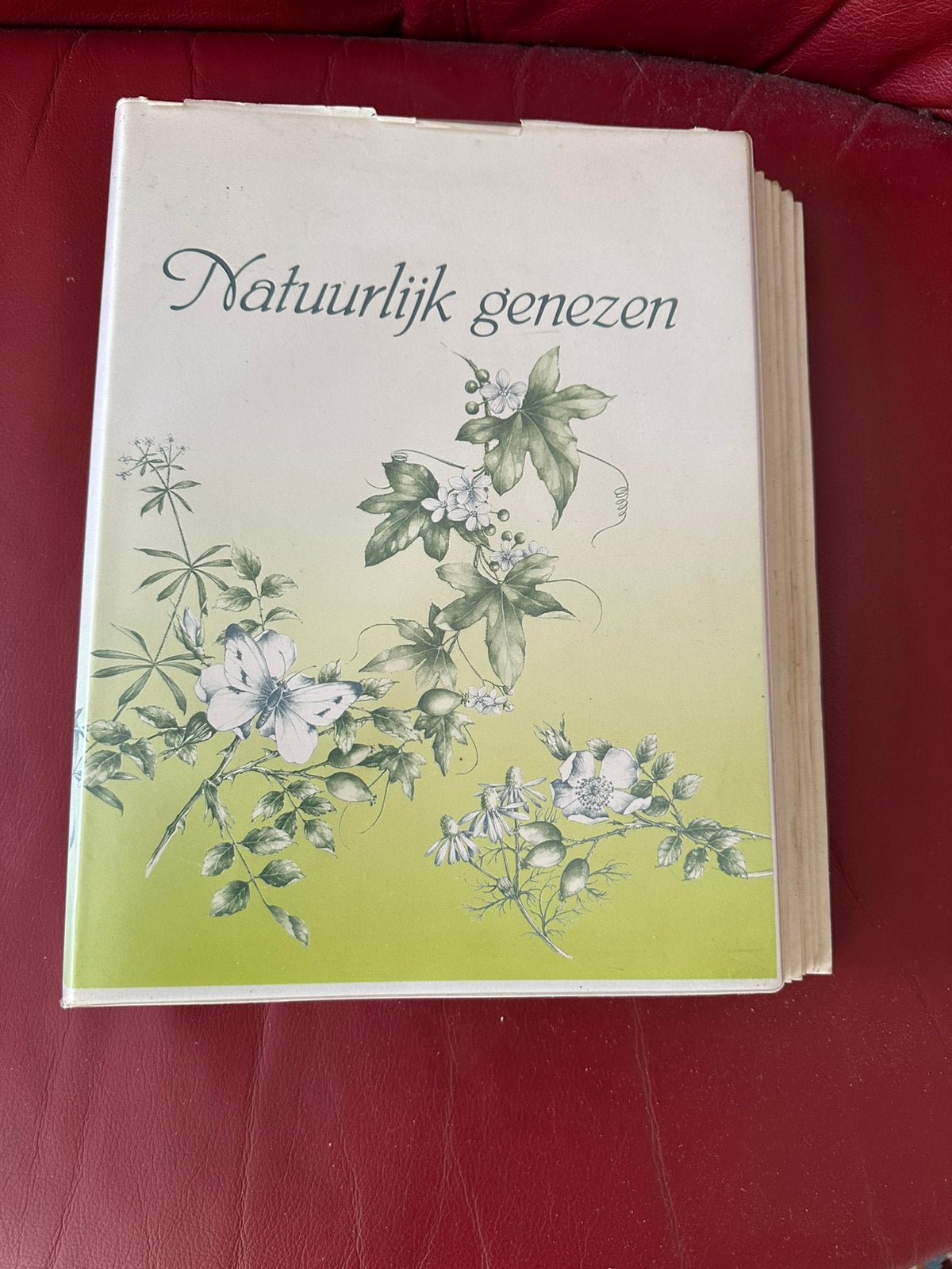 Boek Natuurlijk genezen en over gehoor, Boeken, Ophalen, Gelezen, Kruiden en Alternatief