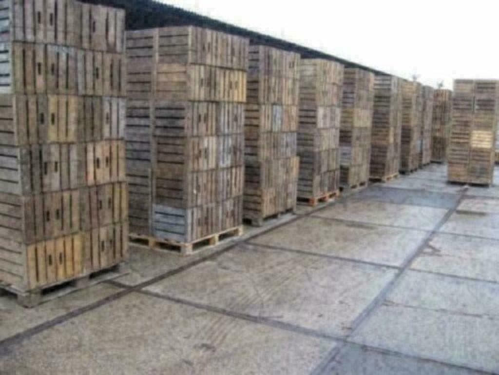 Fruitkisten , Groentekisten , Veilingkisten GROTE PARTIJ, Ophalen of Verzenden