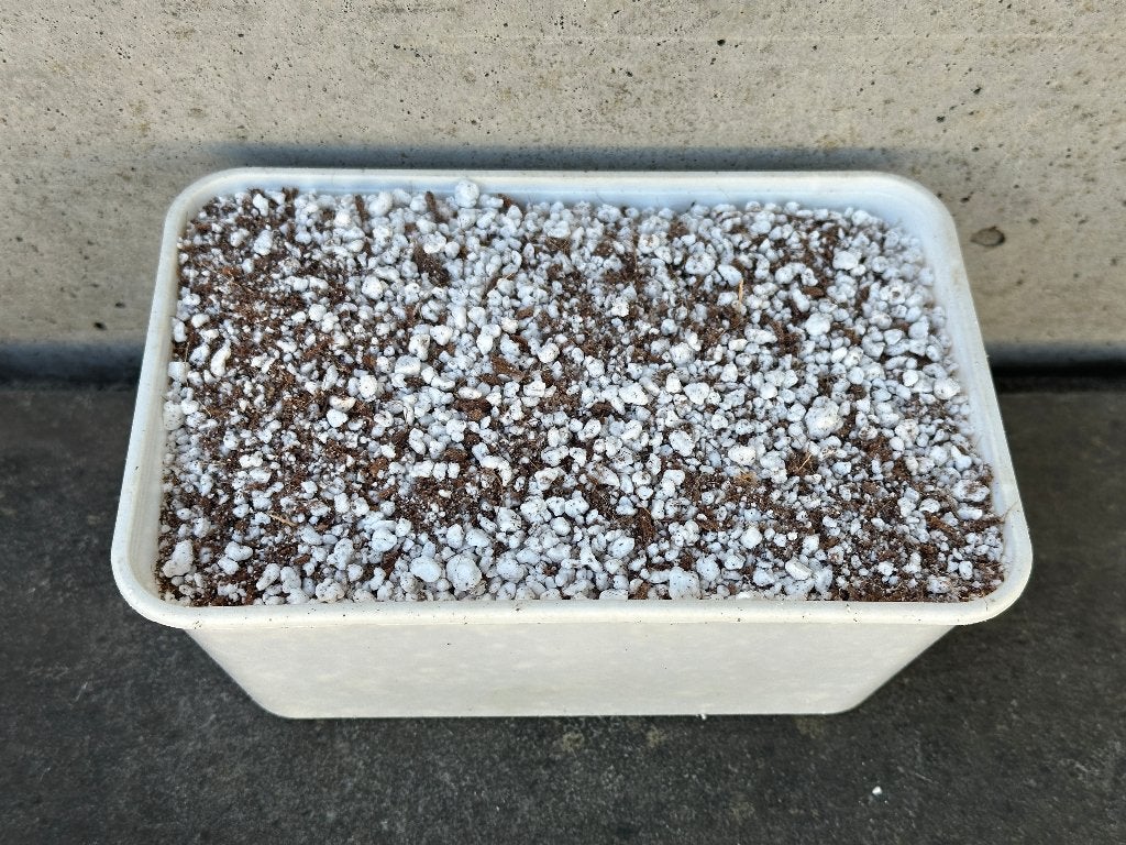 1 liter bonsai starter mix | soil grond perliet kokos, Ophalen of Verzenden