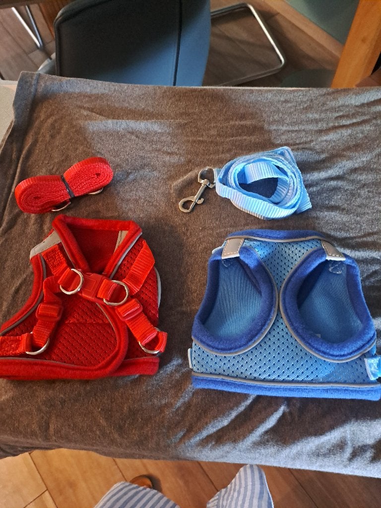 Toypoedel harnas XS, Verzenden, Nieuw