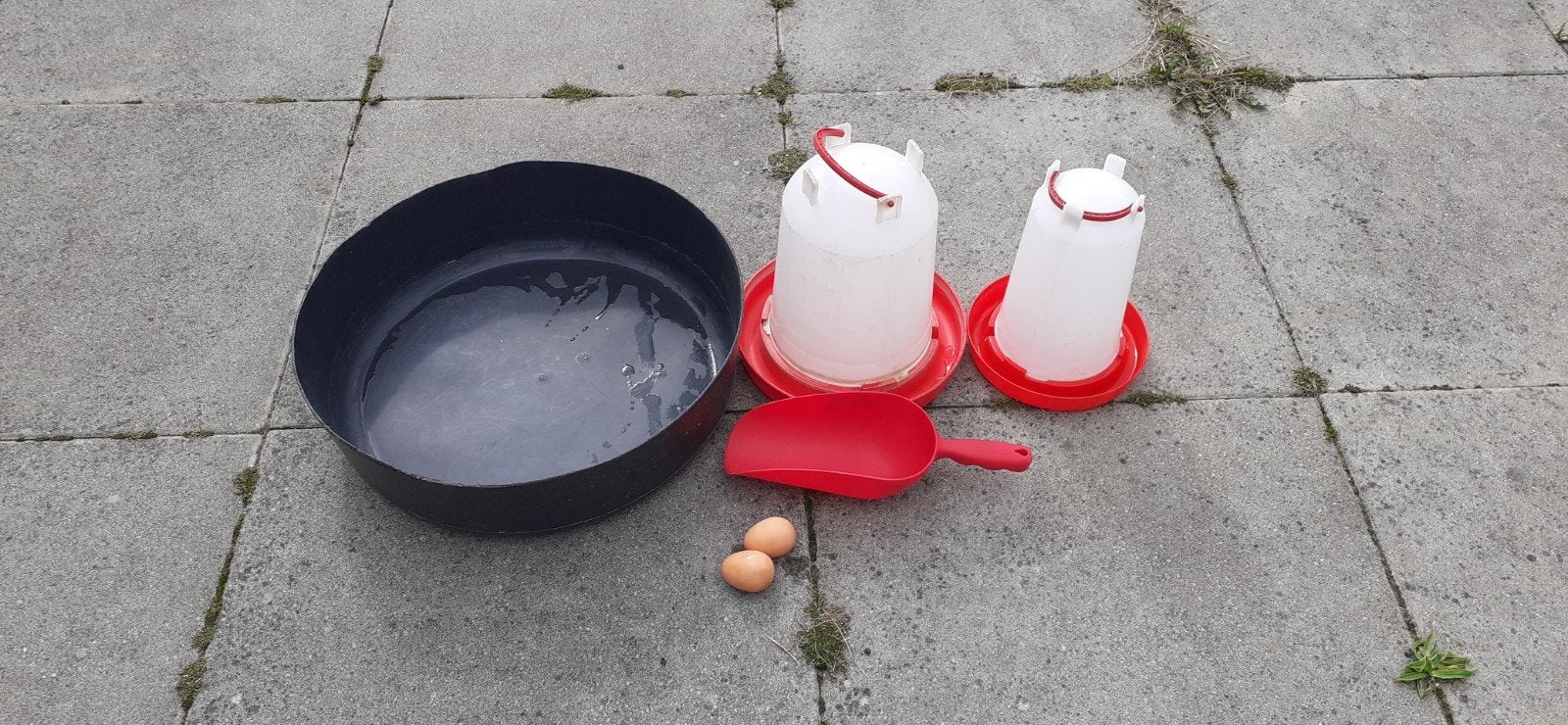 2 drinktorens, legnest, voerschep en 2 rubberen eieren, Dieren en Toebehoren, Ophalen, Gebruikt, Overige typen