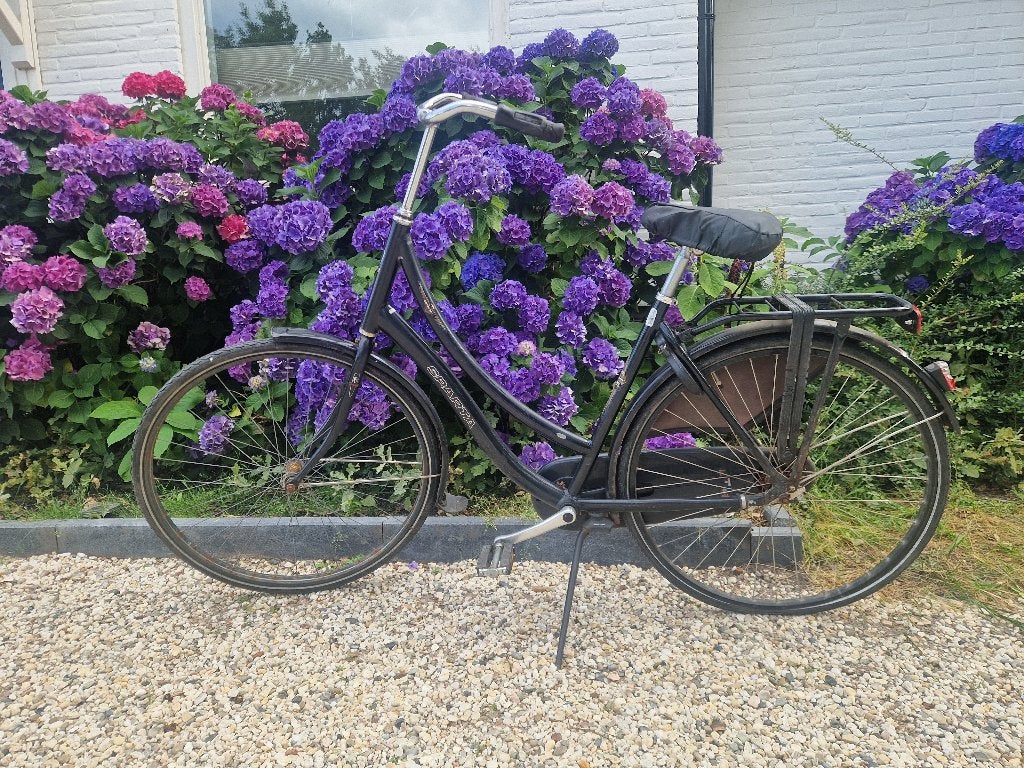 Damesfiets, opknapper, Fietsen en Brommers, Fietsen | Dames | Damesfietsen, Ophalen, Gebruikt, Terugtraprem, Sparta