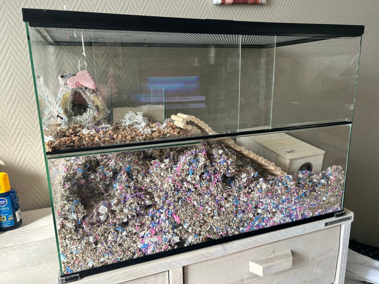 Gerbilarium, Dieren en Toebehoren, Knaagdieren en Konijnen | Hokken en Kooien, Ophalen, Minder dan 60 cm, Minder dan 75 cm, Nieuw