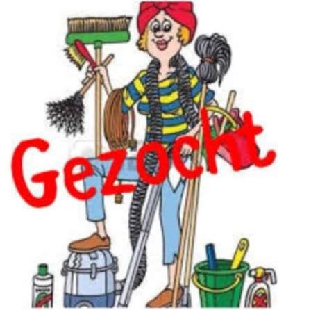 Gezocht: schoonmaakster/ poetshulp/hulp in huishouden, Overige niveaus, Overige vormen