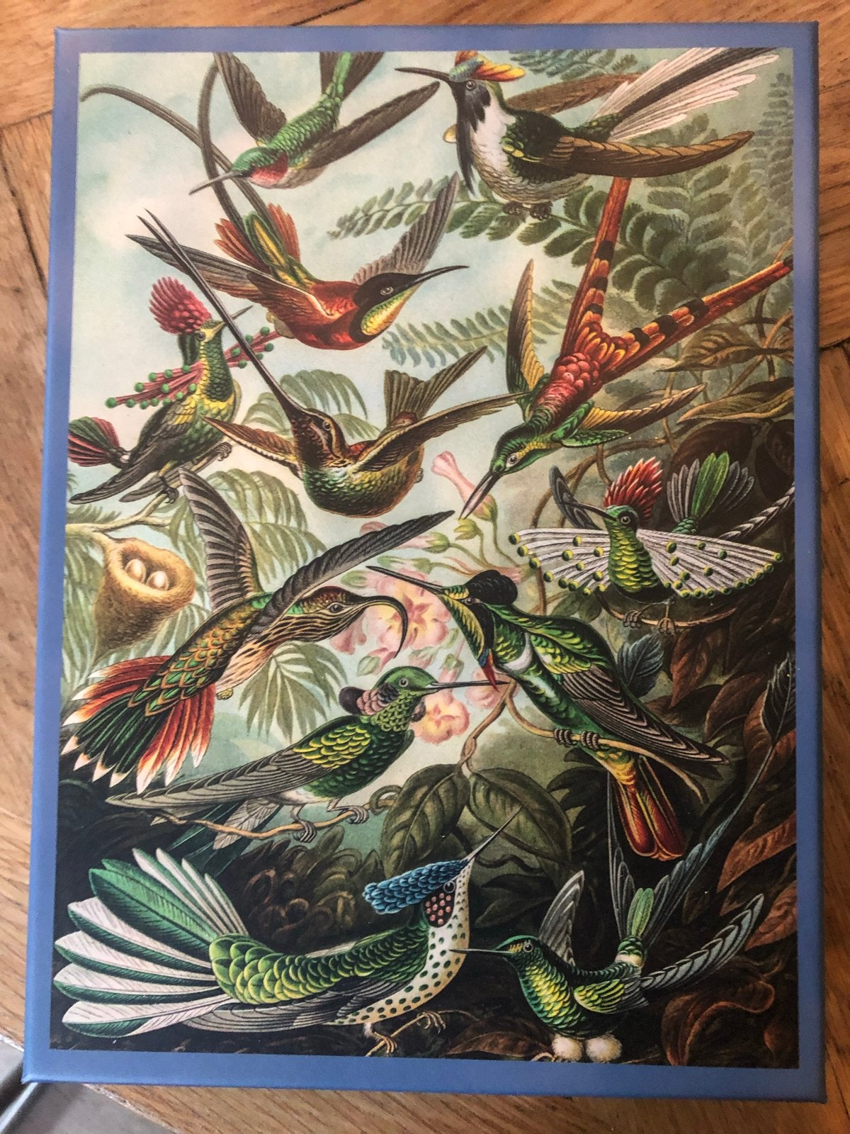 Puzzel Kolibries 1000 stukjes - Art to Nature Teylers Museum, Ophalen of Verzenden, 500 t/m 1500 stukjes, Zo goed als nieuw, Legpuzzel
