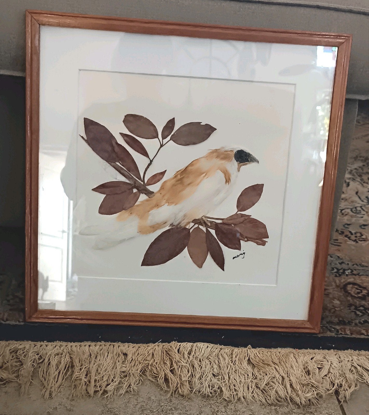 Uniek Vintage 3D Vogel Kunstwerk – Echte Veren & Bladeren –, Ophalen of Verzenden, Ingelijst, Dieren