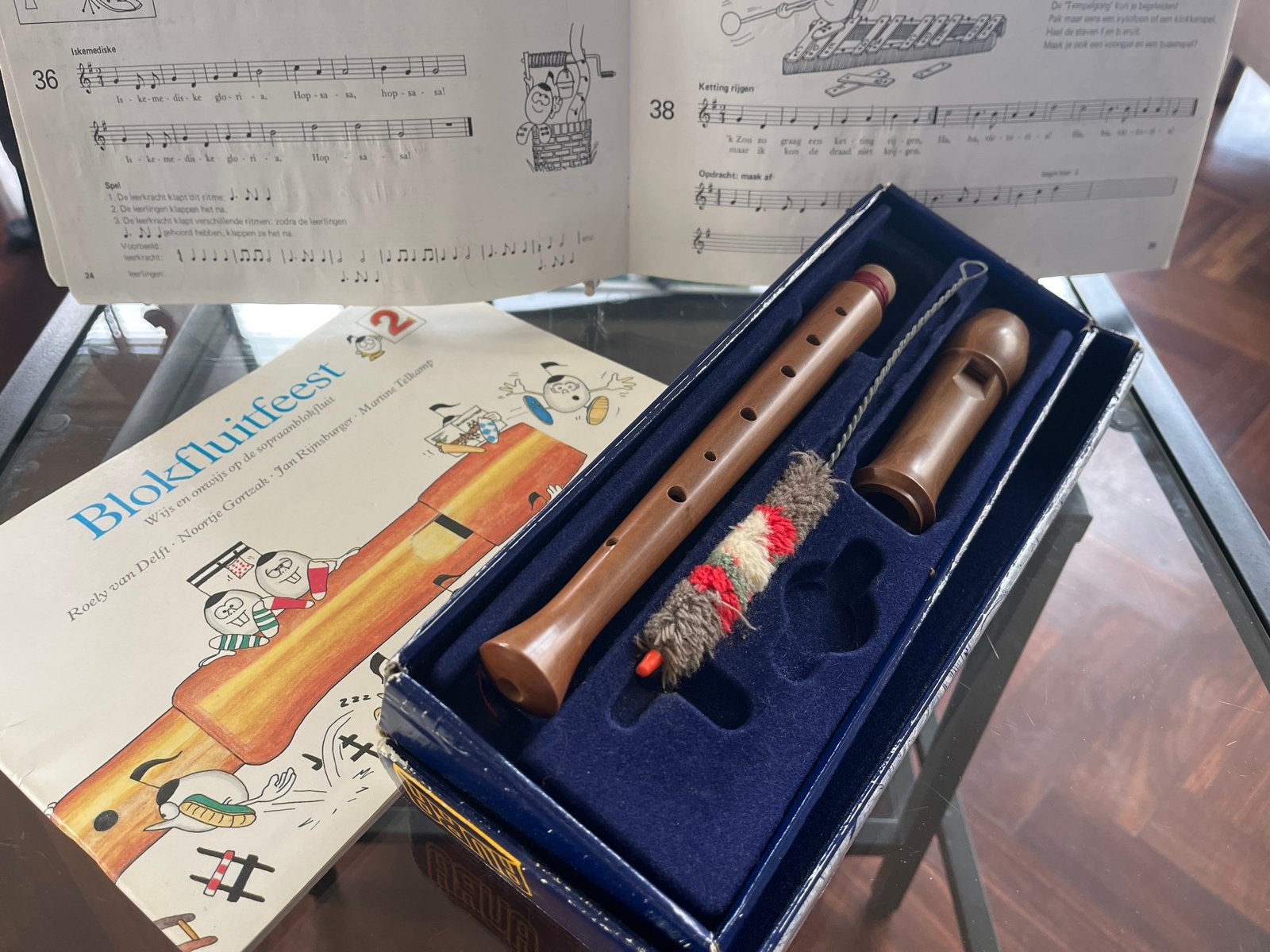 Blokfluit (Aura) met koffer,  standaard en lesboeken, Muziek en Instrumenten, Ophalen, Gebruikt, Sopraan of Sopranino, Met koffer, hoes of etui