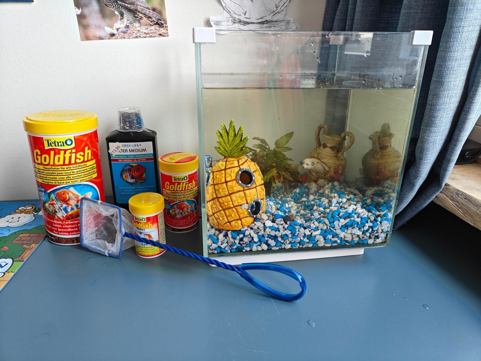 Vissenkom incl. Vis en toebehoren, Ophalen, Leeg aquarium