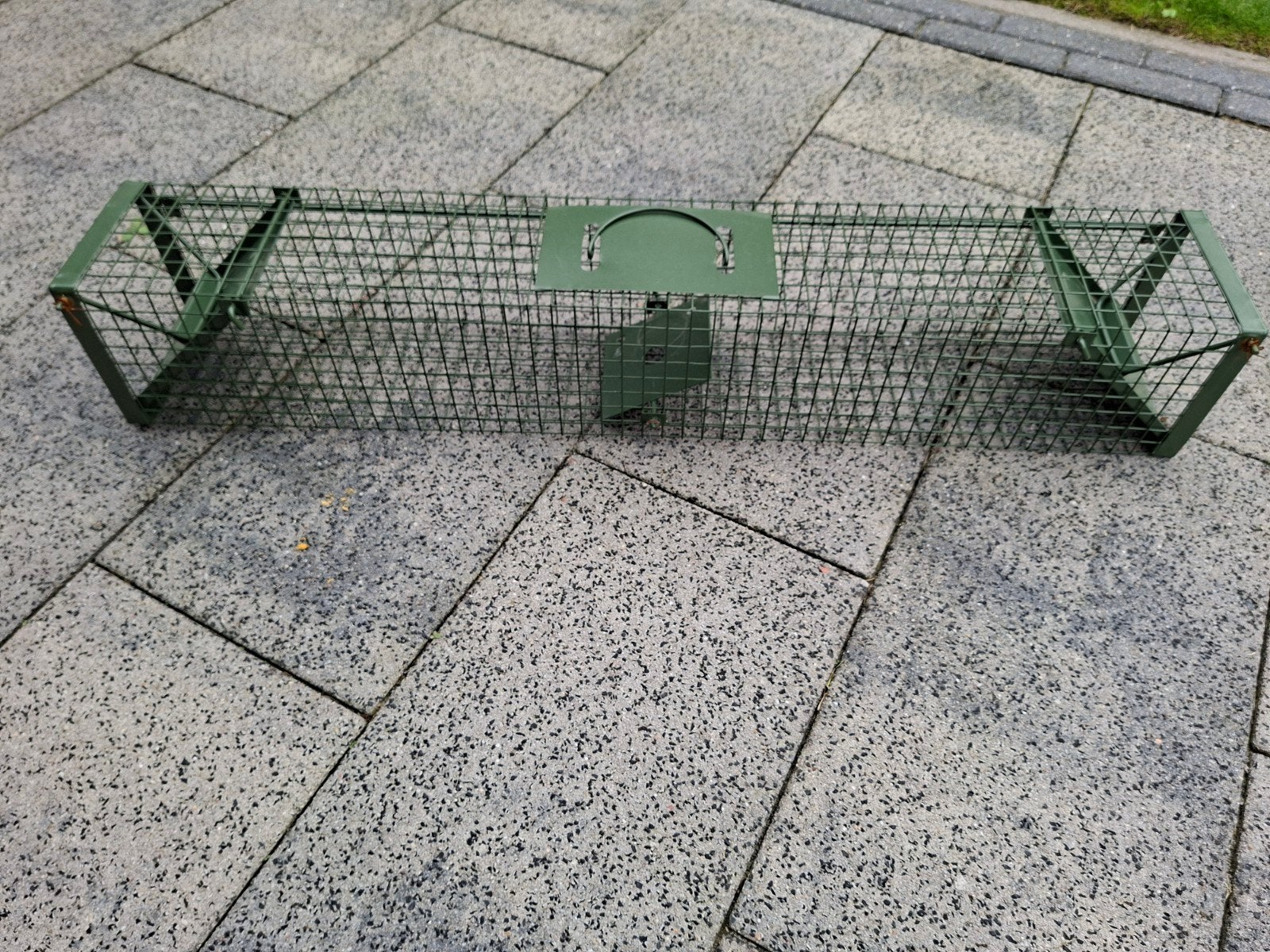 ratten/matter vangkooi, Ophalen