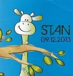 Stan, Ophalen of Verzenden, 2000 tot heden