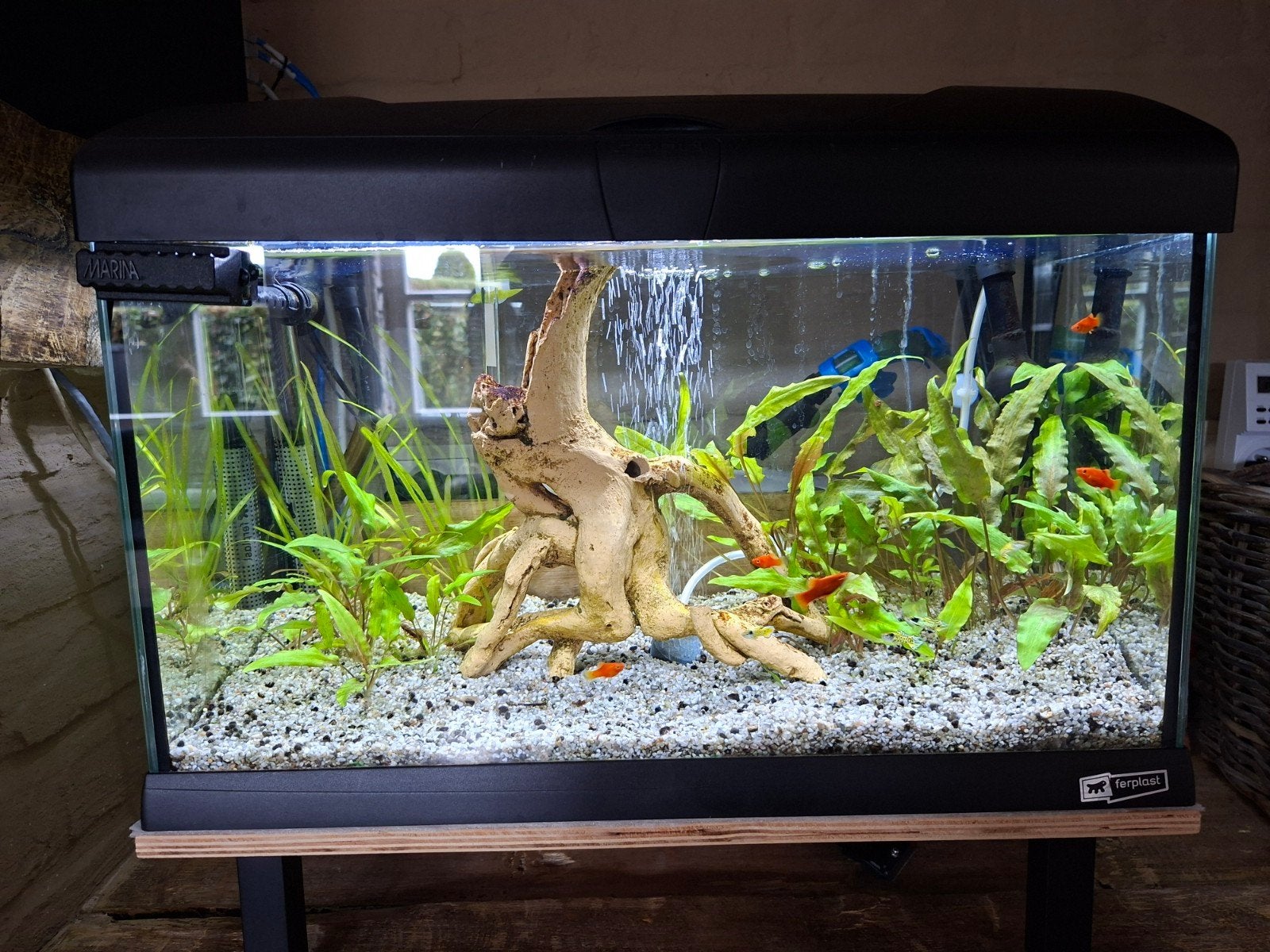 aquarium, Ophalen