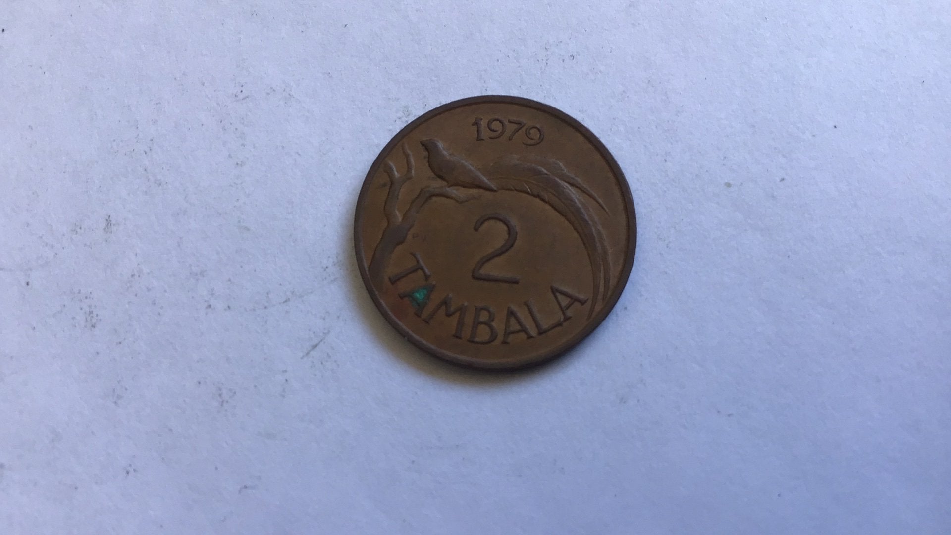 Malawi 2 tambala 1979., Ophalen of Verzenden, Overige landen