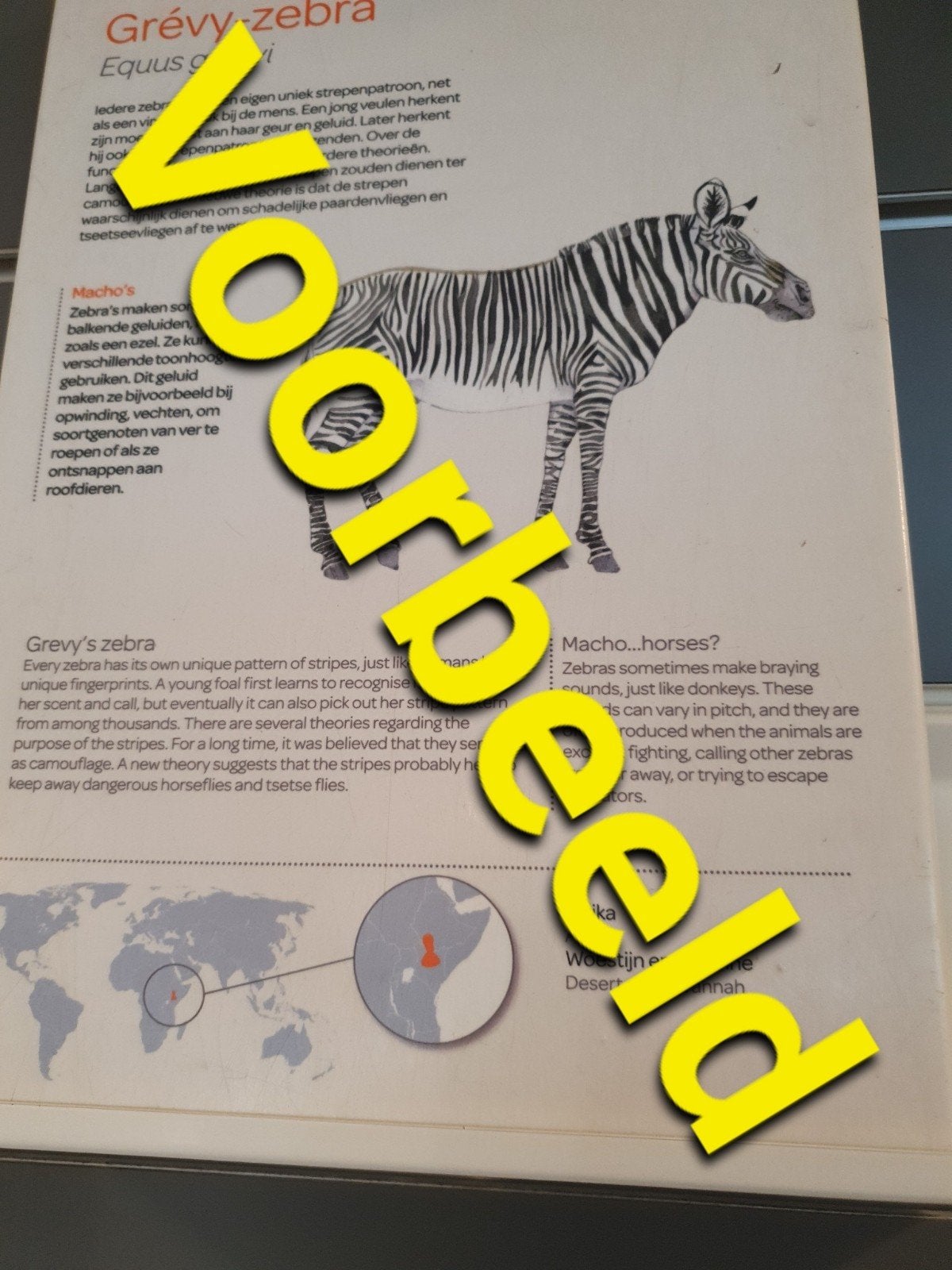 Gevraagd Artis dieren informatiebord, Ophalen of Verzenden, 1980 tot heden, Nieuw, Dier