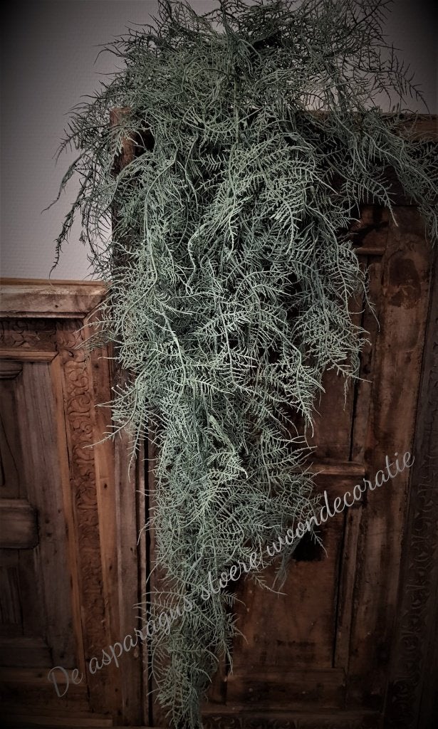 NIEUW Kunst Asparagustak, Binnen, Groen, 100 cm, Overige materialen