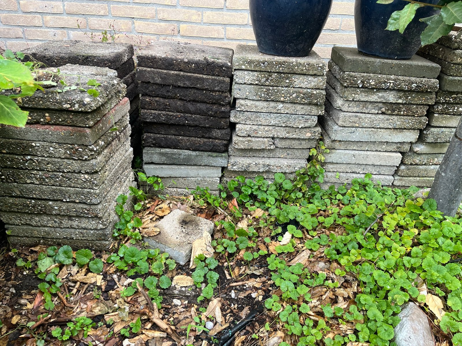 Gratis af te halen: Tegels, planken & asbestvrije golfplaten, Ophalen, Gebruikt, 5 tot 10 m², Beton