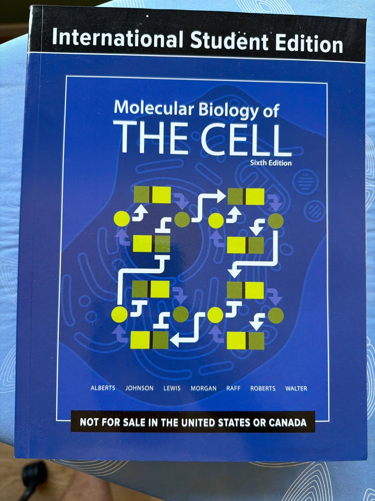 Molecular Biology of the Cell - International Student Ed., Boeken, Studieboeken en Cursussen, Ophalen of Verzenden, Beta, Nieuw
