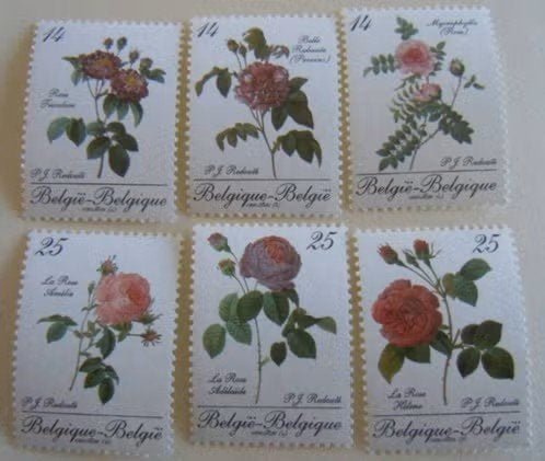 België 1990 - OBP 2370-2375  - Rozen Belgica 90, Postzegels en Munten, Postzegels | Europa | België, Frankeerzegel, Ophalen of Verzenden