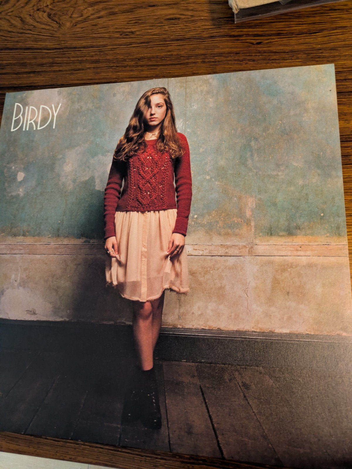 Birdy - Birdy vinyl lp, Ophalen of Verzenden, LP