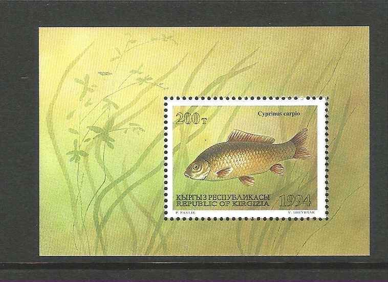 Kyrgystan blokje 6  vis karper jaar 1994 PF, Verzenden, Postfris, Dier of Natuur